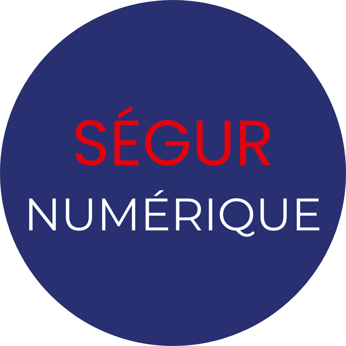 Segur Numérique